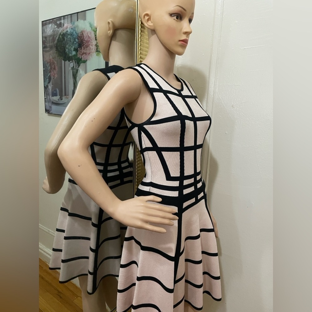 Torn by Ronny Kobo Black and Cream Mini Dress - Picture 11 of 12